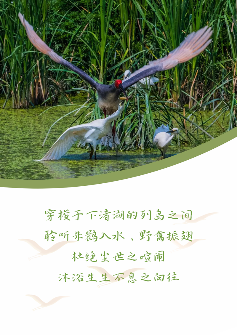 心心念廿 相伴294俄罗斯专享会登录 | 与德清相约 贺廿载诞辰